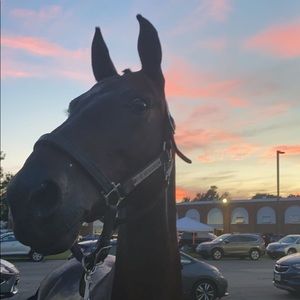 Meet your Posher, Ava